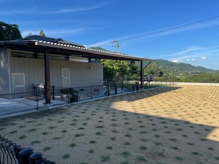 徳島県トイプードルブリーダー MONSTER HOUSE(モンスター