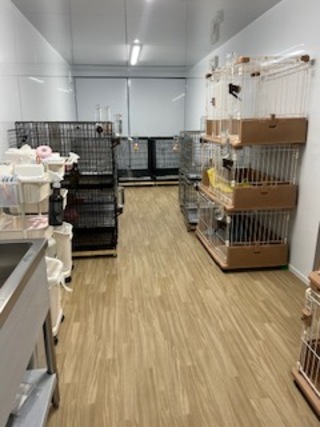 徳島県トイプードルブリーダー MONSTER HOUSE(モンスター