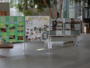 img_20170928-142417.jpg