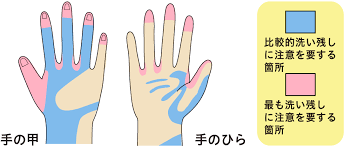 img_20250221-123226.png