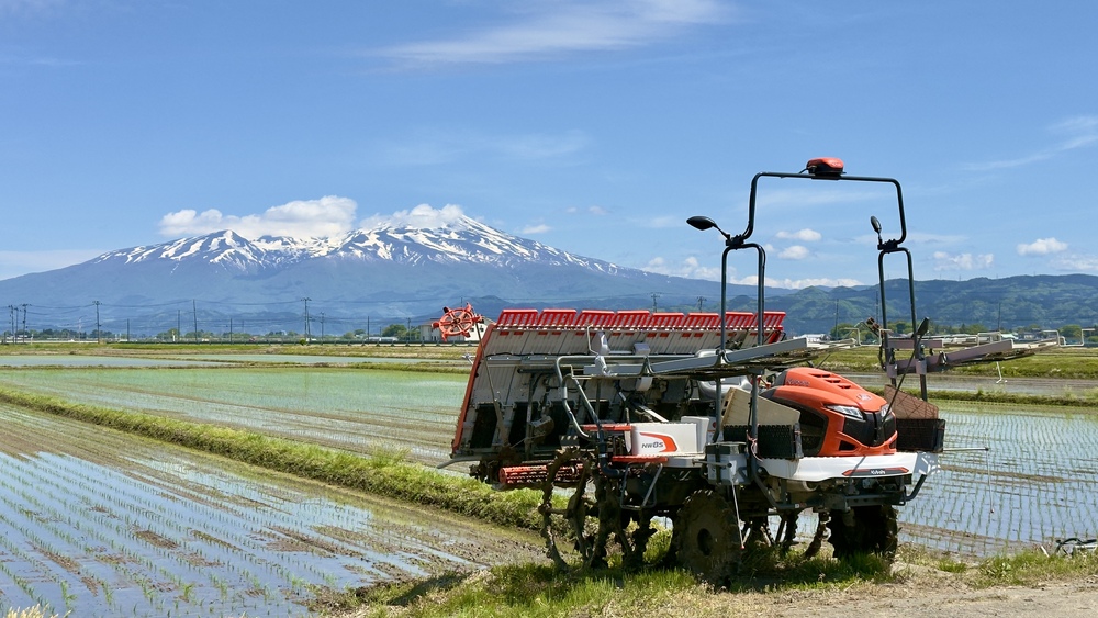 2026年5月7日 - 農家のブログ - 中平田ミニファーム