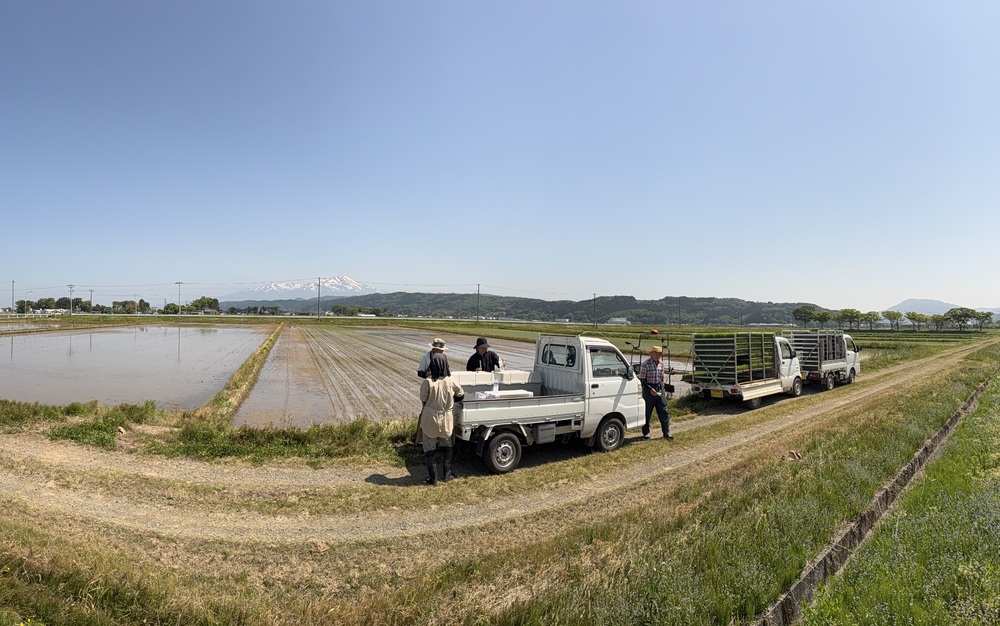 2026年5月16日 - 農家のブログ - 中平田ミニファーム