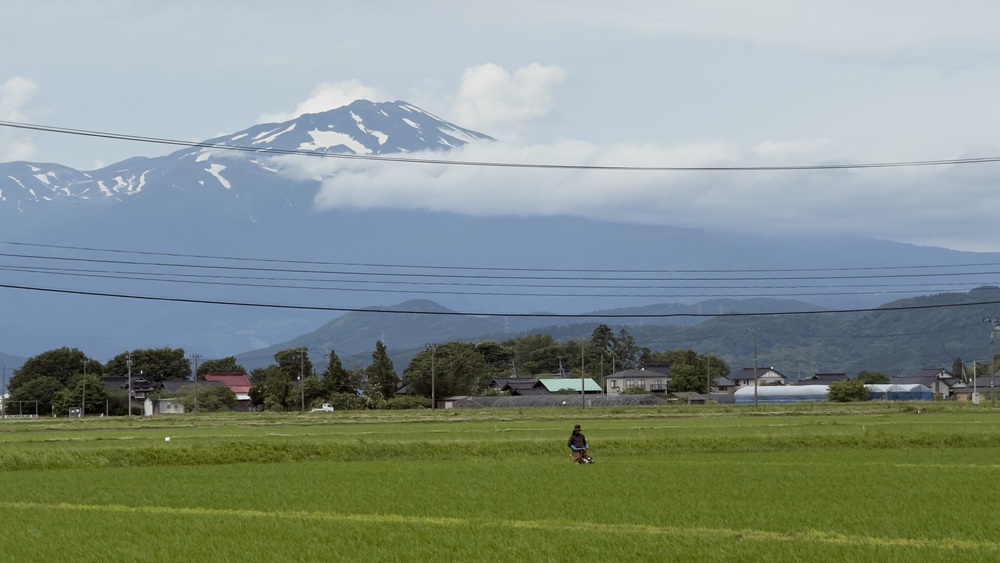 2026年6月20日 - 農家のブログ - 中平田ミニファーム