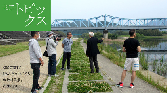 八木町観光協会 ミニトピックス