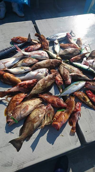 img_20170908-211343.jpg