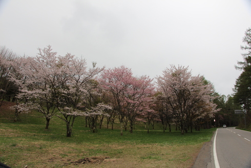 img_20220430-041057.jpg