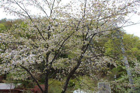 img_20220430-041110.jpg