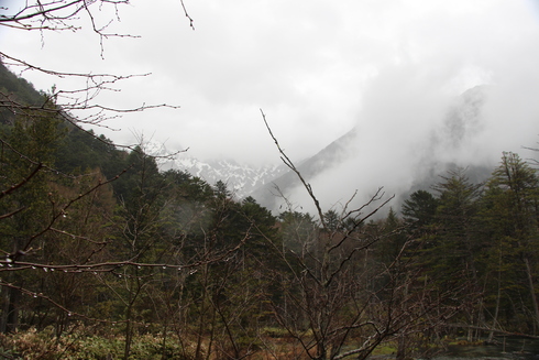 img_20220430-042642.jpg