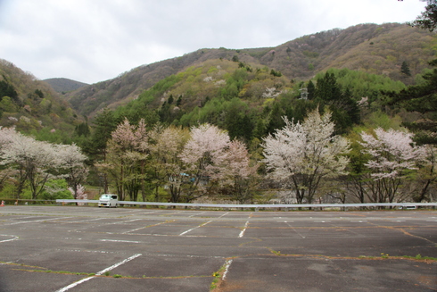 img_20220502-091300.jpg