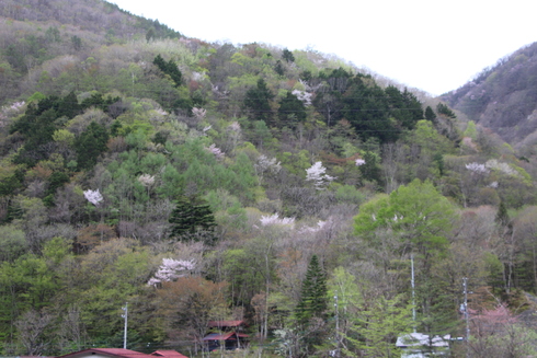 img_20220502-091436.jpg