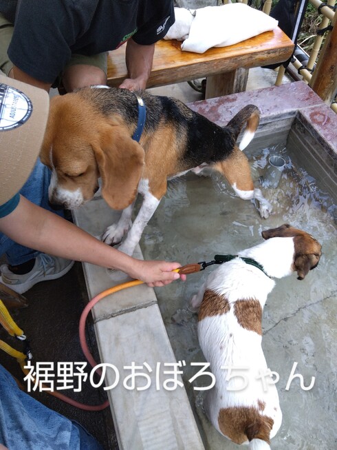 img_20251005-195040.jpg