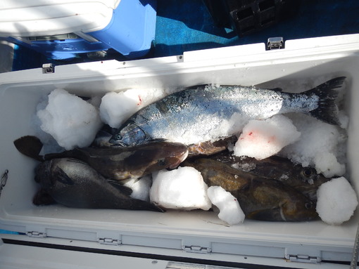 ボイヤン・スラット