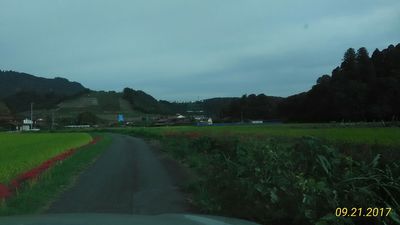 img_20170926-223542.jpg