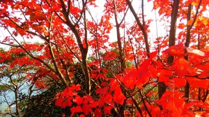 img_20171002-105519.jpg