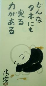 img_20171004-120546.jpg