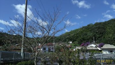 img_20171016-162703.jpg