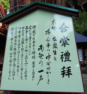 img_20171030-214607.jpg