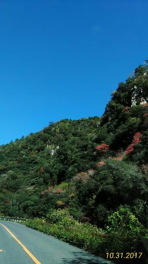 img_20171031-162835.jpg