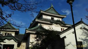 img_20171117-224333.jpg
