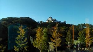 img_20171117-224353.jpg