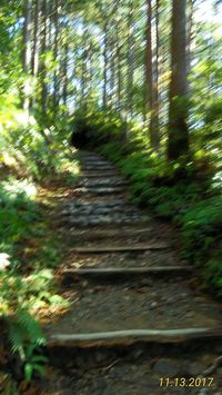 img_20171117-224636.jpg