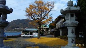 img_20171205-185323.jpg
