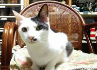 img_20180706-074121.jpg