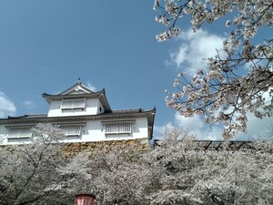 img_20210410-124418.jpg