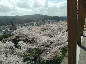 img_20210410-124526.jpg
