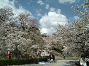 img_20210410-124544.jpg