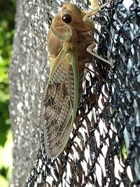 img_20210731-001104.jpg