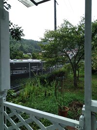 img_20210814-044233.jpg