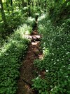 img_20220601-233720.jpg