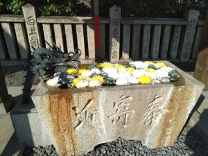 img_20221117-072953.jpg