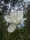 img_20250413-130735.jpg