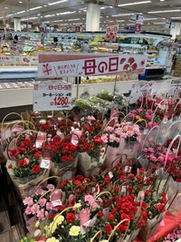 img_20240512-195257.jpg