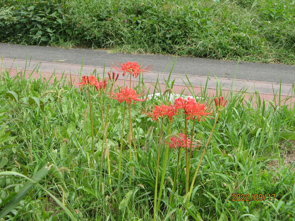 img_20220918-105707.jpg