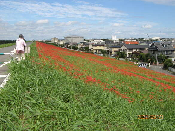 img_20220922-070325.jpg