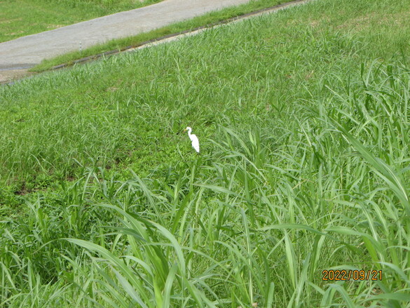 img_20220922-070526.jpg