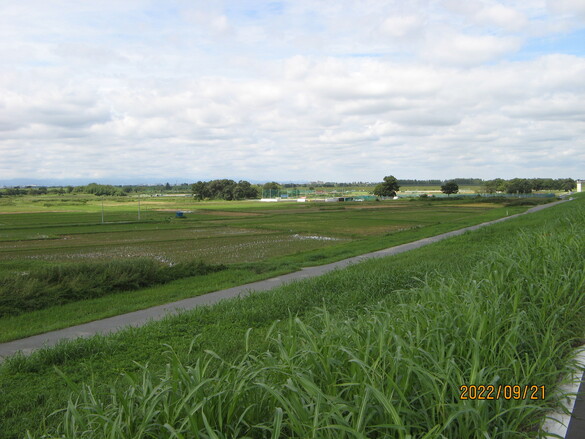 img_20220922-070549.jpg