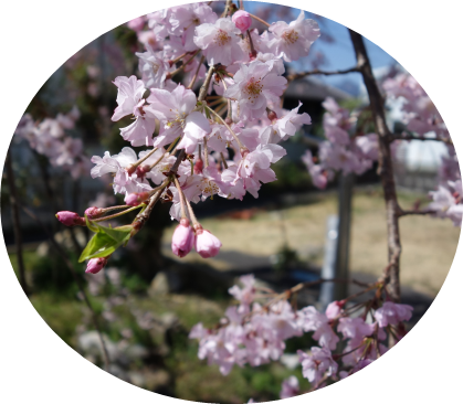 img_20220415-054040.png