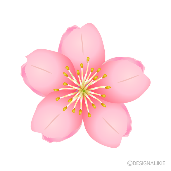 img_20240406-153024.png