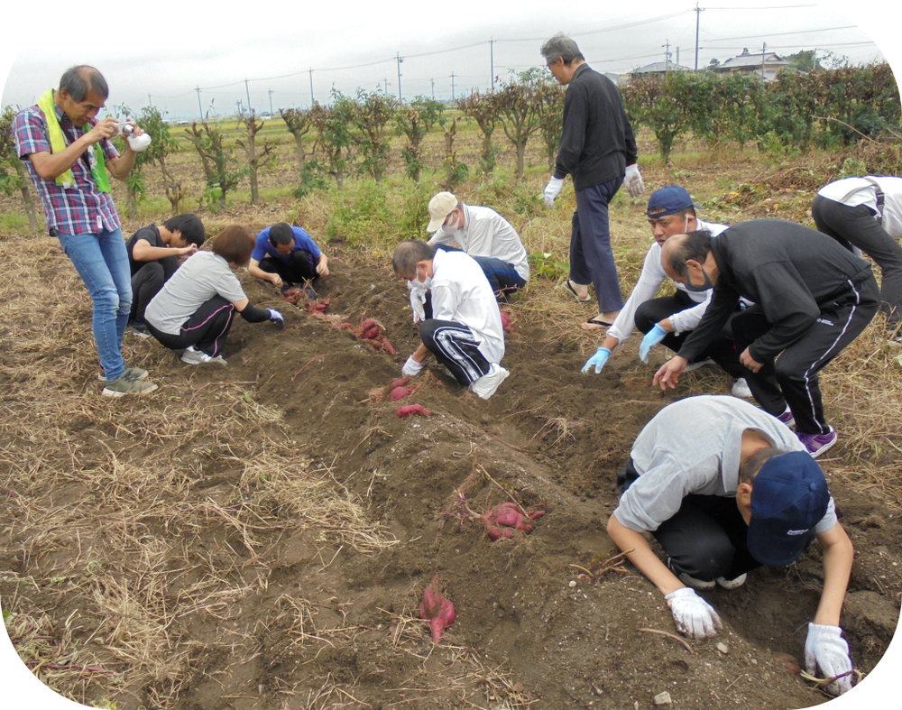 img_20241121-111905.png