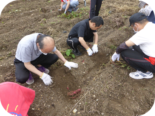 img_20251110-110356.png