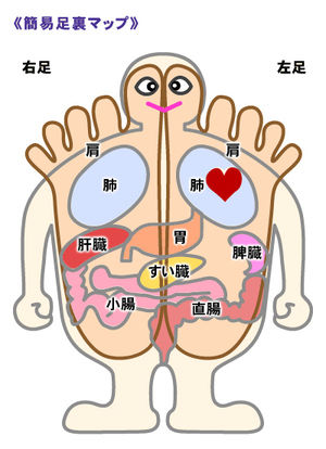 井上整骨院針灸院カイロ整体 コラム 治療例 健康情報185