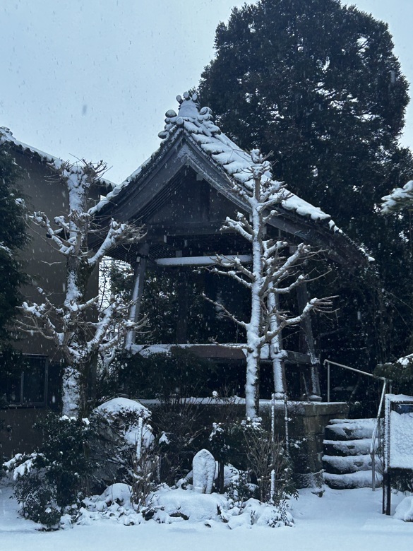 『法隆寺の五重塔心柱』