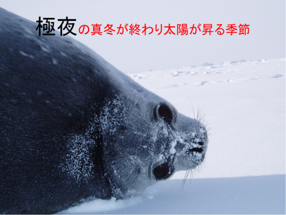 img_20210930-043124.png
