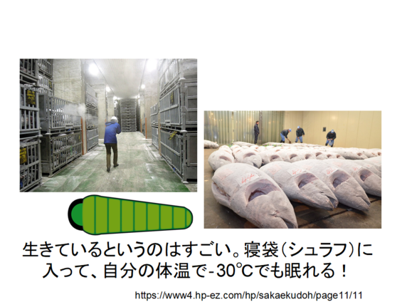 img_20210930-043310.png