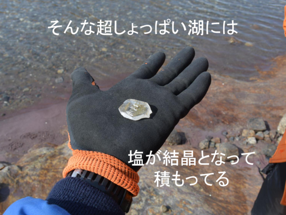 img_20210930-043843.png