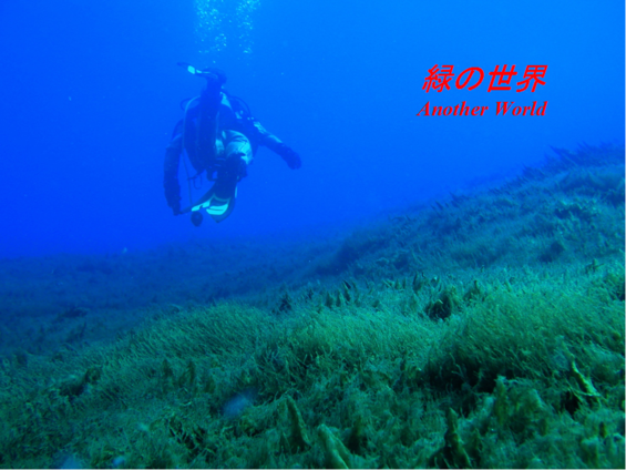 img_20210930-052158.png